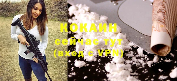 дживик Армянск
