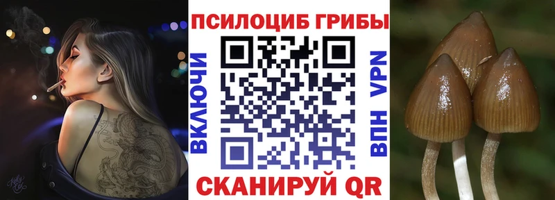 Псилоцибиновые грибы прущие грибы mega как войти Черняховск